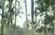 Uttar Pradesh: Journalist’s body found hanging from a tree